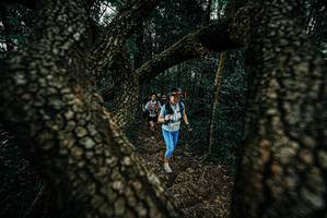 BIB: 
                            <button type="button" onclick="openModal(25684900)" class="btn btn-primary btn-sm float-right btn-popup" data-toggle="modal" data-target=".modal-high-quality">
                        <i class="fas fa-shopping-cart"></i> Add to Cart
                    </button>
                                            <button type="button" onclick="isThisMe(25684900, true)" class="btn btn-success btn-sm float-right btn-popup btn-isme hidden" data-toggle="tooltip" data-placement="bottom" title="นี่คือรูปของคุณใช่ไหม คลิกที่นี่เพื่อเอาเข้าอัลบั้ม">
                        <i class="fas fa-plus"></i> Add to album
                    </button>
                    <button type="button" onclick="isThisMe(25684900, false)" class="btn btn-warning btn-sm float-right btn-popup btn-isnotme hidden">
                        <i class="fas fa-ban"></i> Remove from album
                    </button>